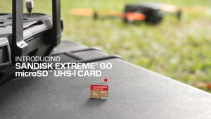 SanDisk Extreme GO MicroSD Card 32GB 64GB 128GB 256GB 512GB 1TB QXGN MemoryPlusSG