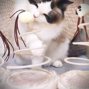 Cat spring base toy Pet Toys funny happy cat stick cat toys Tease cat toy with mouse doll