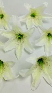 [1 PCS] Kuntuman Bunga Lily Tiger Artificial / Kelopak Lili Casablanca Artifisial Dekorasi Import untuk Rangkaian Buket dan Hiasan Pelaminan Wedding