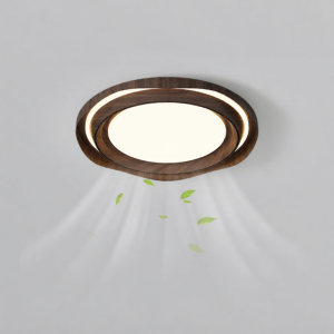 FANZHEN | Bladeless Fan LED Ceiling Light Room Light