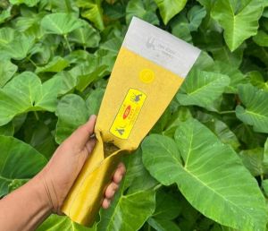 DODOS CAMEL SIAP PAKAI TANPA ASAH