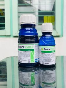 Fungisida SCORE 250EC dari SYNGENTA