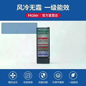 Frost-Free and Energy Efficient Commercial Beverage Fridge