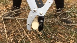 Extendable Garden Scissors Pruning Shears Flower Fruit Tree Heavy Duty Garden Shears Trimmer Branch Hands Pruner Cutter Long Handle Gardening Tool