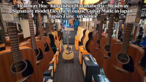 Headway Electric Acoustic Guitar HOC-Kingfisher with Gig Bag