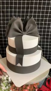 Bánh Sinh Nhật Mô Hình 2 tầng nơ size to chụp ảnh picnic dã ngoại quay video studio