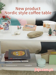 2 Layer Coffee Table Minimalist Sofa Table Simple Tea Desk Nordic Center Table For Living Room