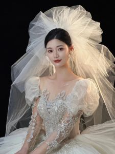 สไตล์เจ้าหญิงยาวอ้วนงานแต่งงาน เดรส ผ้าคลุมหน้าซุปเปอร์เทพนิยายดูการถ่ายภาพข้อเสนอสำหรับเจ้าสาวฮาร์ด ผ้าทูลล์ วัสดุ