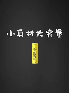 Delipow | KTV Microphone Camera Toy AAA Rechargeable Battery