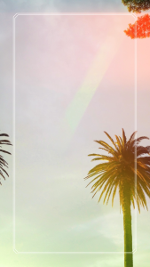 [ใหม่ล่าสุด] PRM SEAMLESS กางเกงในไร้ขอบ RIMURU สะโพก 28-44 นิ้ว กระชับ ขอบขาเนียนสนิท เอวต่ำ เนียนไร้ขอบ