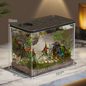 WUBUWEI | Eco-Design Desktop Aquarium Fish Tank