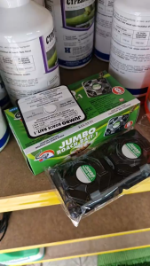 Green Fumakilla Racun Lipas Jumbo Roach Bait 6 umpan