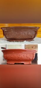 Chậu bonsai nhựa mini hình ovan phù hợp cho các loại cây kiểng cây bonsai combo 3 cái Minh Hân Garden