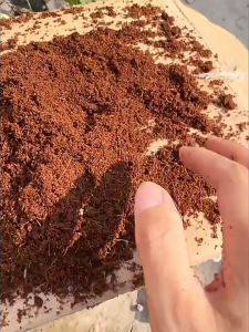 Coconut brick nutrient soil coconut bran coarse coconut shell low-salt large bricks for growing flowers and vegetables