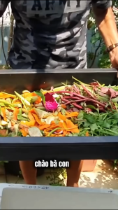 Combo 4 gói. Chế phẩm sinh học hữu cơ EMZONE. Gói 200gr