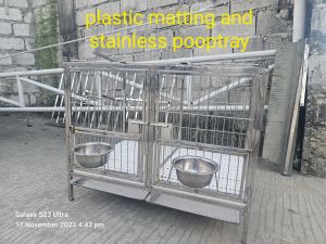 pure stainless 304 dog cage 2×3×2.5 2doors with rotating window and stainless pooptray