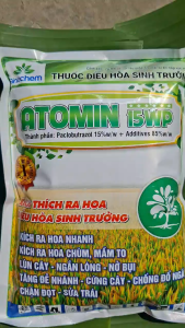 [THIEN THINH SHOP] Điều Hòa Sinh Trưởng ATOMIN 15WP 1KG (Paclobutrazol 15%) Kích Ra Hoa Ngắn Lóng Cứng Cây