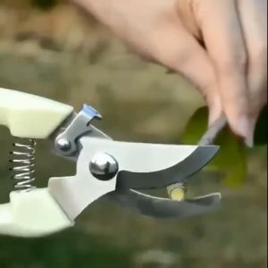 Pruning Shears Cutter Home Gardening Plant Scissor Branch Pruner Hand Tool Pruning Shears Flower Fruit Tree Garden Shears Stainless Steel Garden Scissors Trimming Gardening Tools