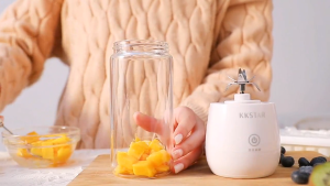 SG【Ready Stock】Portable juicer Travel Blend Mini TSA-Approved 0.7kg Lightweight & Airplane-Friendly Portable juicer