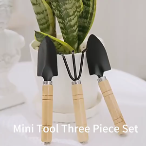 【1-3 Days Delivery】3pcs Mini Garden Tool Set – Shovel Rake and Spade with Wooden Handles