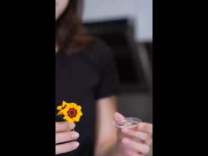 10pcs Floating Flower Display StandCreative Floral Arrangement Holder for Water Container
