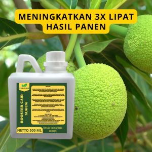 Pupuk Pelebat Sukun / Pupuk Buah Sukun / Pupuk Booster Sukun / Pupuk Sukun