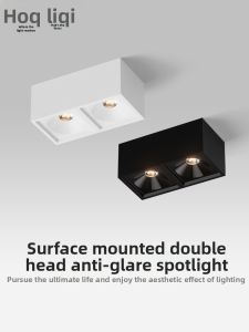HUOQI | Dual-head Anti-glare COB Recessed Downlight