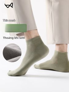 MiiOW | Tất ngắn co giãn cao thoáng khí chống mùi kháng khuẩn cho nam Tất thể thao mùa hè Tất dài thường ngày MiiOW Cat Person