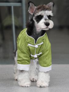 Thickened Cotton Dog Coat Winter Jacket New Chinese Style Year Ending Clothes Schnauzer Teddy Bichon Large Dogs Clothes