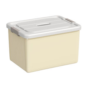 youqin | Large Capacity Storage Box