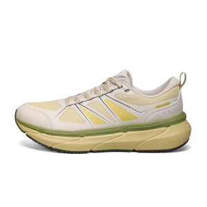 Peak Outdoor Sports Shoes Mens Running Shoes Shock Absorption Casual Hiking Shoes Lightweight Breathable Comfortable Walking Sneakers