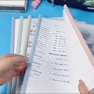 Set 10 bìa cây kẹp hồ sơ A4 nhựa dẻo không thấm nước-HAUSE