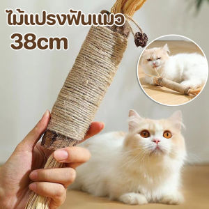 Pattey ไม้แปรงฟันแมว ไม้มาทาทาบิ อันใหญ่มาก 38CM ขัดฟันไม้ ไม้ขัดฟันแมว ลดคราบหินปูน ก้านมาทาทาบิ ของเล่นแมว