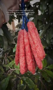 1kg Lạp Xưởng Thịt Heo Nạc Nhiều Nguyên Vị Mai Quế Lộ Gia Truyền Nhiều Đời- VỰA KHÔ MINH TRIẾT