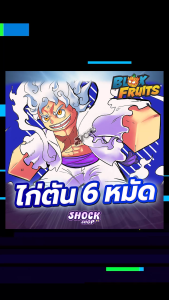 การ์ดไก่ตัน 6 หมัด แมพ Blox Fruits การ์ดสวยภาพคมชัด