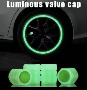 Tutup Pentil Ban Mobil Motor Sepeda Glow In The Dark Luminous Neon