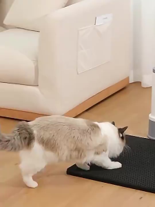 เสื่อทรายแมว 2ชั้นEVA หลายขนาด ที่รองทรายแมว/พรมดักทรายแมว  นุ่ม สบาย สามารถใช้เป็นแผ่นกันความชื้น ไม่แพร่พันธุ์เชื้อโรค