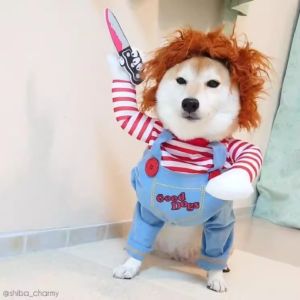 Halloween Viral TikTok Dao Trang Phục Búp Bê Doggie Biến Đổi Bộ Trang Phục Nhỏ Đến Vừa Chó Dễ Thương Đáng Sợ Mèo Quần Áo Thú Cưng Đồ Hóa Trang Cho Thú Cưng - Lazada
