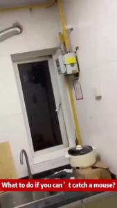 28pcs! rat poison killer lason sa daga rat repellant rat killer for home rat poison for big rats mouse repellent pellets