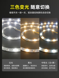 Ceiling Mounted LED Fan Light round Spiral Magnetic Source Indoor Home Decor Lighting Non Intelligent Control B22 Socket Interface