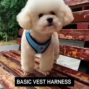 [24HR SHIP] CAT DOG HARNESS AND LEASH for Walking Escape Proof Soft Adjustable Vest Harness Easy Control - Lazada