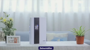 【VOLTO】120sqm Large Room Dehumidifier – 2.5L Heavy Duty with Air Purifier Dual Core System Dual Drainage LED Display Moisture Absorber for Home Closet Basement Mold Removal Clothes Drying Silent Household Use