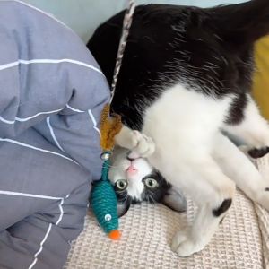 Mainan Kucing Rope Mouse Cat Toy with Eye 麻绳磨牙老鼠猫玩具