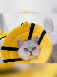 คอลล่าแมว คอลล่าสูงสุด ป้องกันการเลียแผลนุ่มนิ่มใส่สบาย คอลล่ากันเลีย คอลล่าสุนัขความสวยงาม