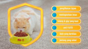 Makanan Kucing Dewasa Me-O 1.2kg: Nutrisi Lengkap & Bernutrisi Seimbang