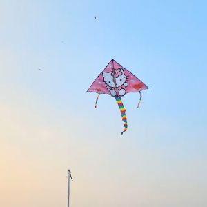 Diều Kitty 1m35