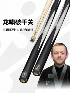 OMIN | Snooker Thin Tip Specialized Cue Stick