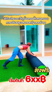 🔥แหล่งผลิต ราคาโรงงาน🔥หญ้าเทียม หญ้าเทียมปูพืน 1/2/3/4CM 1×1/2×5/2×10/2×15/2×25M ขนาดให้เลือกหลาก คุณภาพสูง สีเหมือนจริง นุ่มนิ่ม ทนไฟ ระบายน้ำง่าย หญ้าเทียมปูโตะ หญ้าแผ่น หญ้าสนาม หญ้าเทียมตกแต่งสวน สนามหญ้าจำลอง หญ้าเทียมถูกๆ