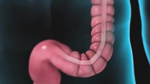 (HoảTốc1h) Bào tử lợi khuẩn LiveSpo Colon Xanh dương hộp 10 ống x5ml dùng cho Viêm Đại Tràng Tiêu chảy Táo bón(10 ống)