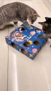 Auto Electric Cat Teaser Toys Self-Entertainment Boredom Consumption Whack-A-Mole Toy